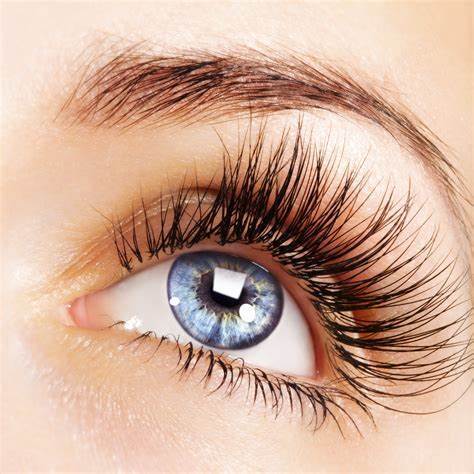 Individual Eyelash Extensions - Online Course