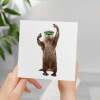 Birthday Card for Him Birthday Card For Brother or Son Birthday Card For Sister or Daughter Fun Birthday Card Of A Otter With Sunglasses - Square (5.5x5.5) / Blank Inside