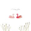 Holy Mackerel swans I love you card - designed by Eloise Hall - 15.7 x 11cm and blank inside