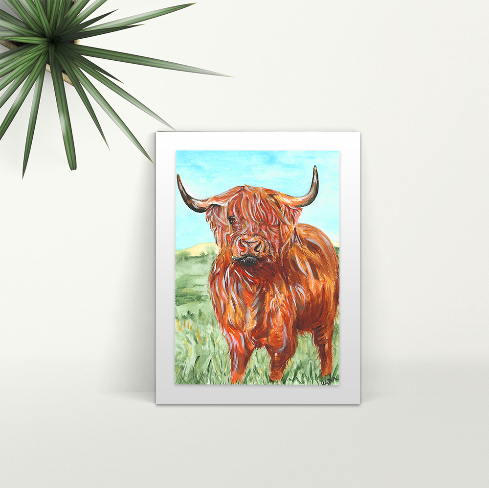 Highland Cow - A4 Print - Mounted