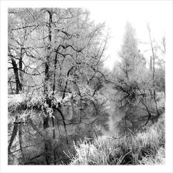 Winter Snow Landscape - a 17.5 x 12.5cm Christmas Card from Holy Mackerel's Alternative Image Range of Festive Designs.