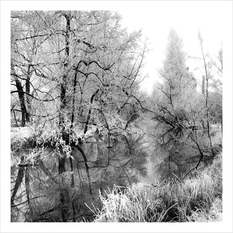 Winter Snow Landscape - a 17.5 x 12.5cm Christmas Card from Holy Mackerel's Alternative Image Range of Festive Designs.