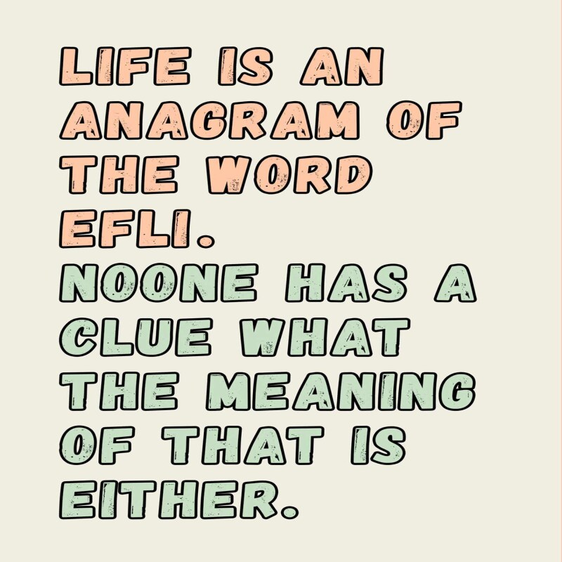 Meaning of Life funny  birthday card