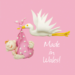 Made in Wales - girl