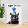 Birthday Card For Her Card For Friend Mum or Sister Birthday Card For Him Brother Dad Happy Birthday Card of Black Cat Fun Birthday Card - Large (5x7) / Blank Message