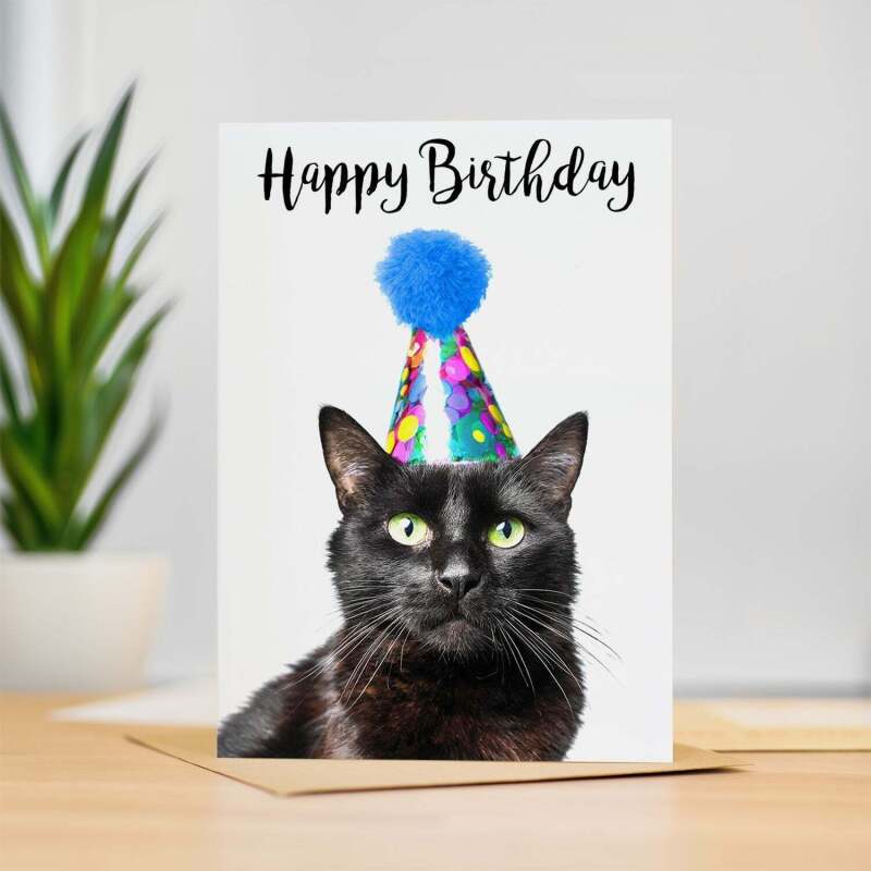 Birthday Card For Her Card For Friend Mum or Sister Birthday Card For Him Brother Dad Happy Birthday Card of Black Cat Fun Birthday Card - Large (5x7) / Blank Message