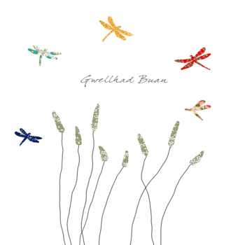 Dragonflies & Grass Gwellhad Buan