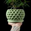 Starry Planter Pot - Matte Dark Green