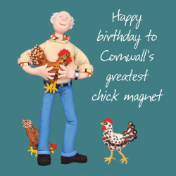Cornwall Chick Magnet Birthday Greetings Card, Designed by Erica Sturla for Holy Mackerel. Card is 150mm Square and Blank Inside.