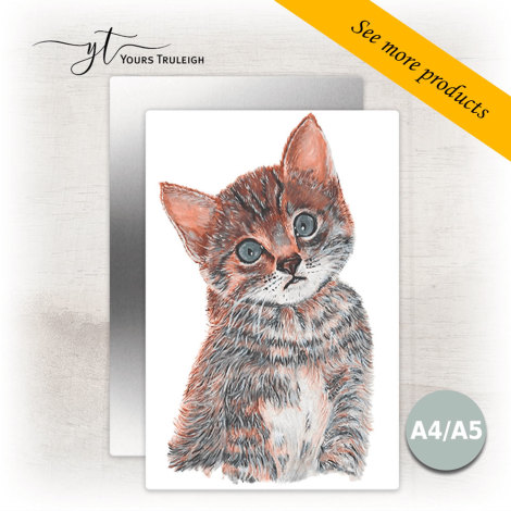 Kitten - Large Range of Giftware available.