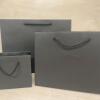 Plain Gift Bags for Personalisation / Wedding Bags / Bags for all occasions / White and Black Bags / Paper Gift Bag with Rope Handles - White - Small Landscape