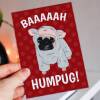 Baaaaah Humpug funny pug, dog, sheep, pet, bah humbug Christmas, Holidays, Xmas card for dog lover, pug owner (Size A6/A5/A4/Square 6x6") - A6: Single card
