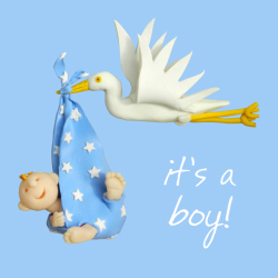 Birth of New Baby Boy Card - Stork