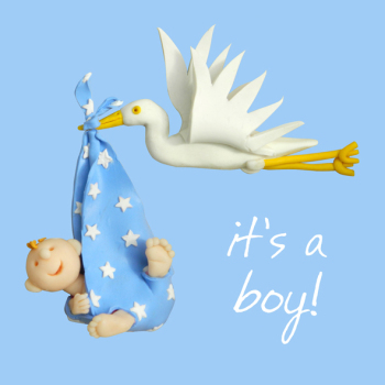 Birth of New Baby Boy Card - Stork