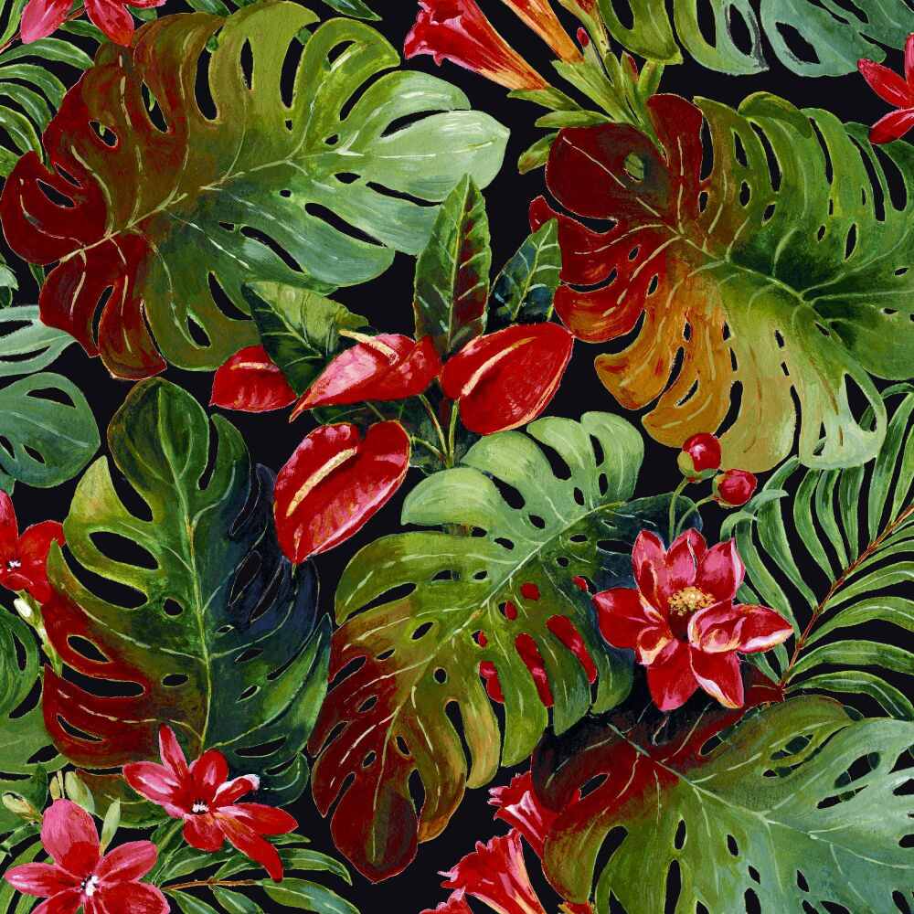 HAWAII-BLACK