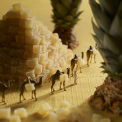 Pineapple Pyramid 150mm Square Greetings Card by Akiko Ida and Pierre Javelle