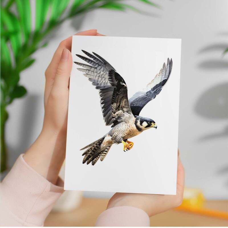 Peregrine Falcon Notelet Card For Anyone Any Occasion Card For Her or For Him 5x7, A6 Card For Birthday or Easter Card Thank You Card Wildlife - Portrait (5x7) / Blank Inside