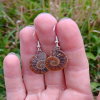 Ammonite Fossil Sterling Silver 925 Earrings