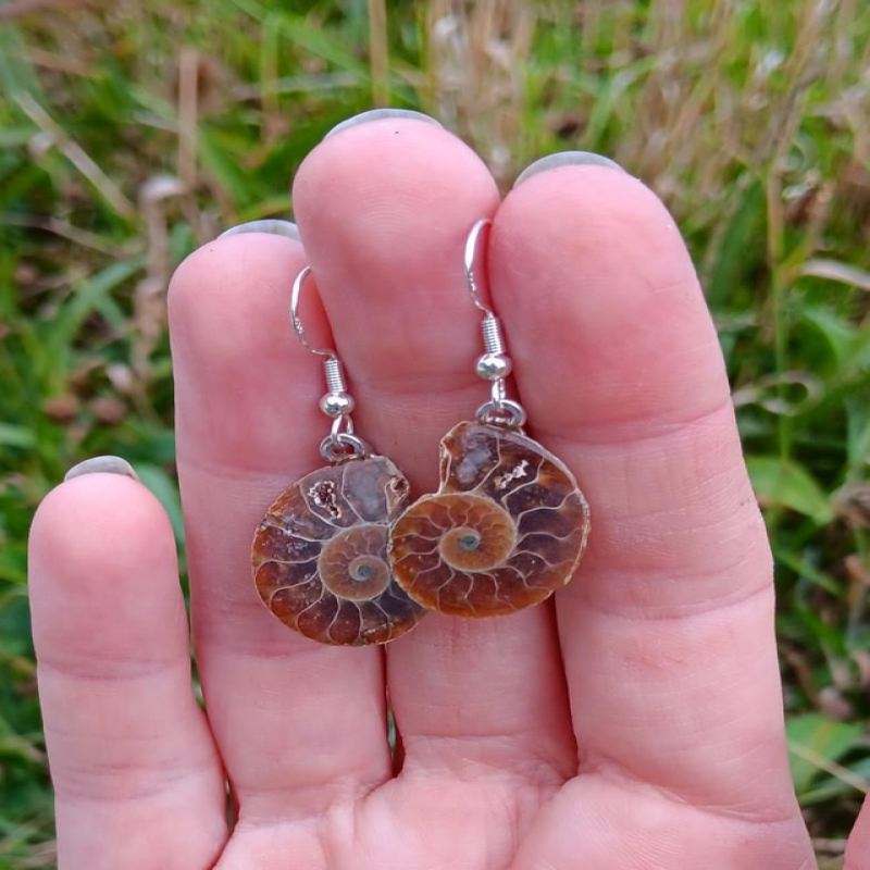 Ammonite Fossil Sterling Silver 925 Earrings