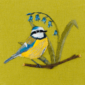 Blue tit with bluebells 150mm Square Greetings Card by Artist Sarah J Perry