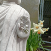 Howlite Bead Sterling Silver Earrings