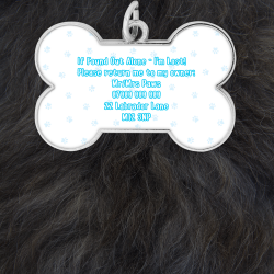 'I'm Lost!' Collar Tag - Blue