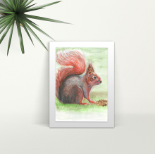 Squirrel - A4 Print - Mounted