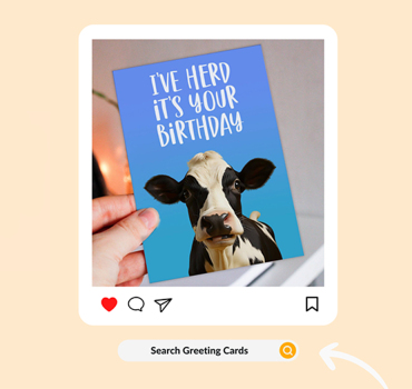 Product Spotlights & Gift Guides Collection