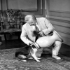 Dog with head in vase