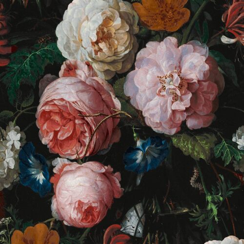 DAMASK ROSE - SCARLET