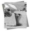 Legs in the sand - vintage black and white themed card - 12.6 x 17.7cm and blank inside - made in the UK