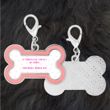 Personalised 'If Found' Safety Collar Tag - Red