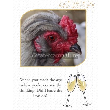 Birthday Card - Hen Chicken Funny Humour