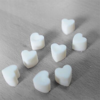 Aroma Wax Melts - Peppermint & Eucalytus