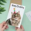 Birthday Card For Anyone Birthday Card For Friend Birthday Card For Her or For Him Persian Longhair Cat Birthday Card For Son or Daughter - Large (5x7) / Blank Message