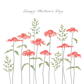 Echinacea Mother's Day Greeting Card