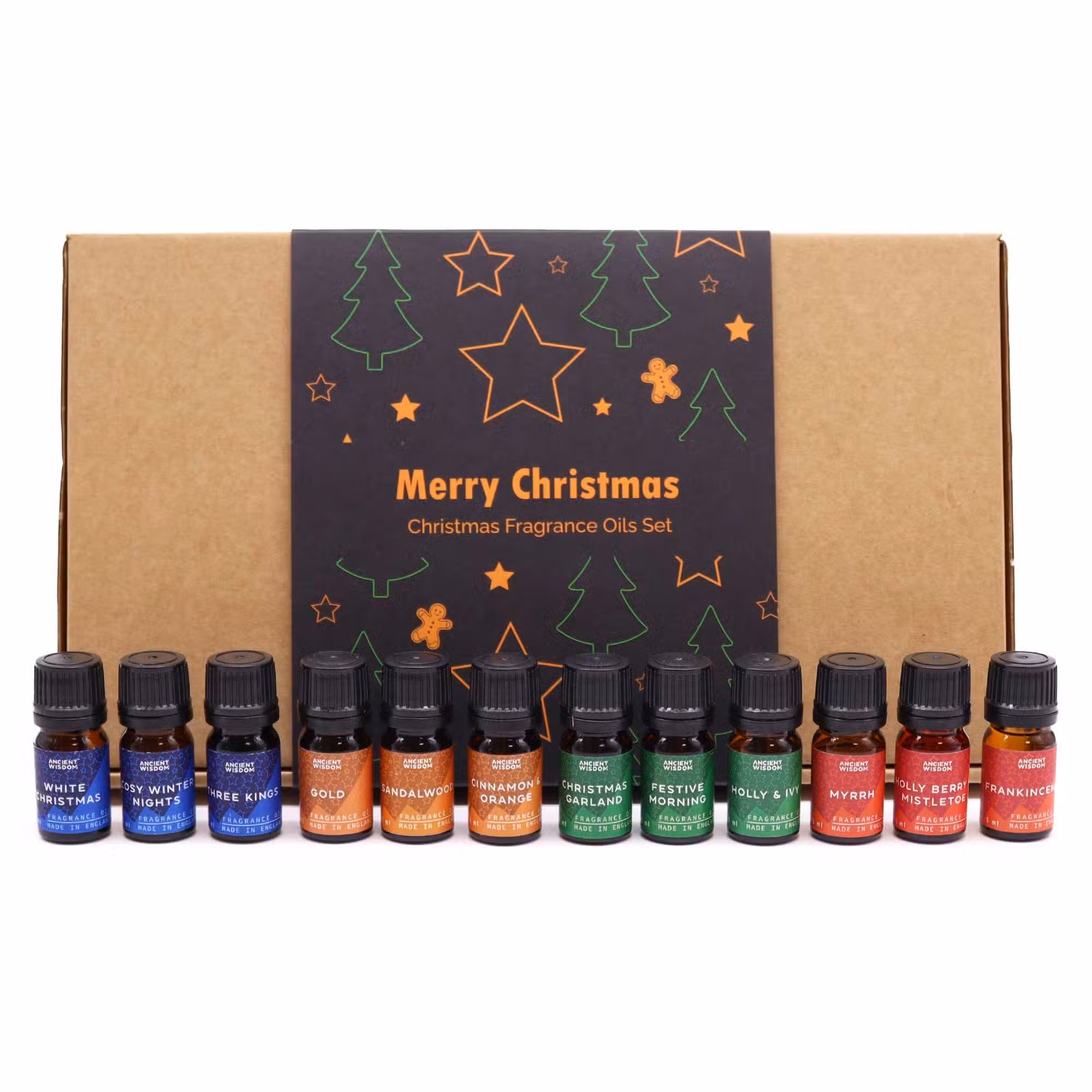 Holy Scents of Christmas Fragrance Oils Set - 12 Festive Oils