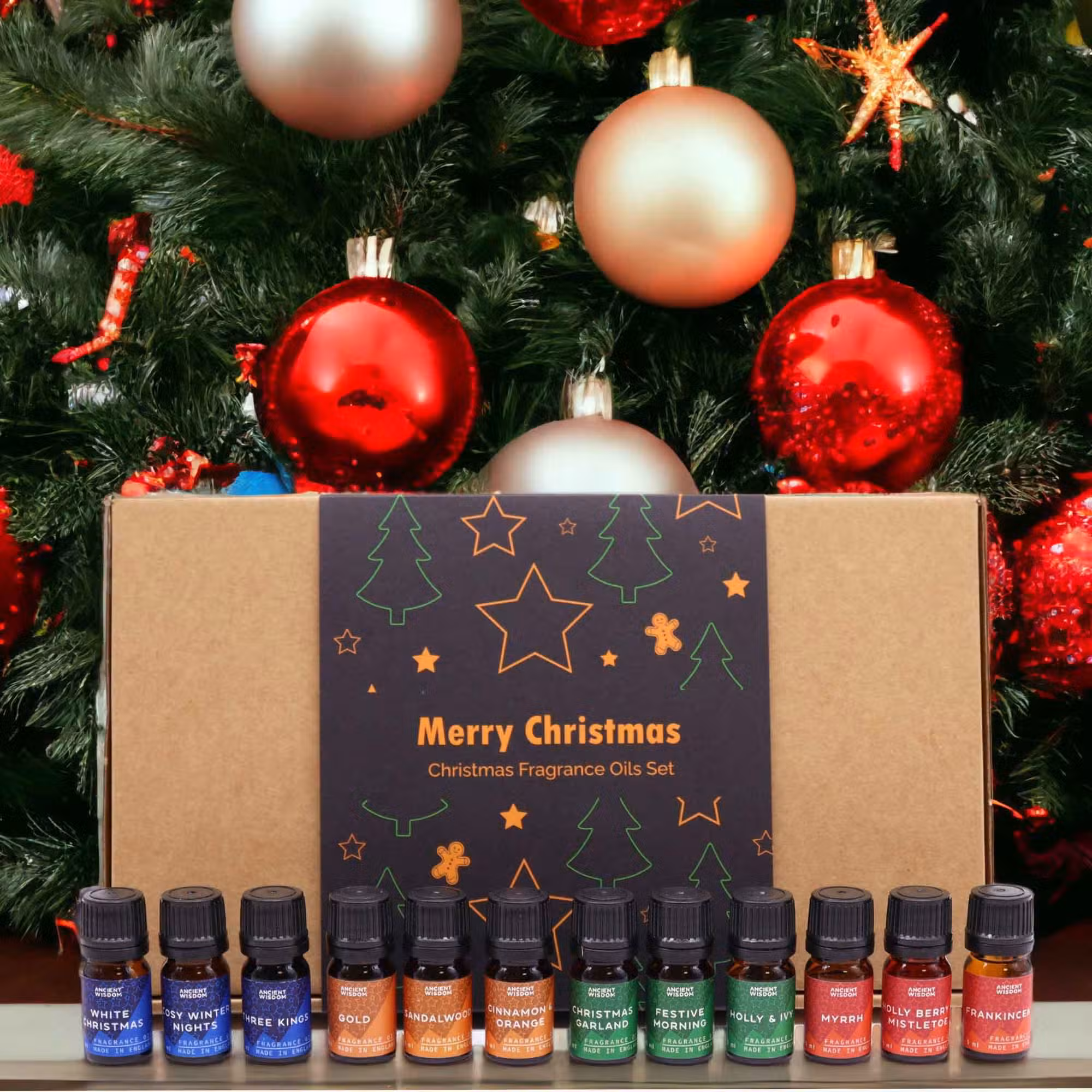 Holy Scents of Christmas Fragrance Oils Set - 12 Festive Oils