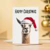 Fun Christmas Card of a Llama Wearing A Santa Hat Whimsical Christmas Card For Animal Lover For Him or Her - Portrait (5x7) / Blank Inside