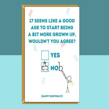 Funny 17th Birthday Card - Personalised inside if required - For Him or For Her - Perfect greetings card for someone turning 17 years old