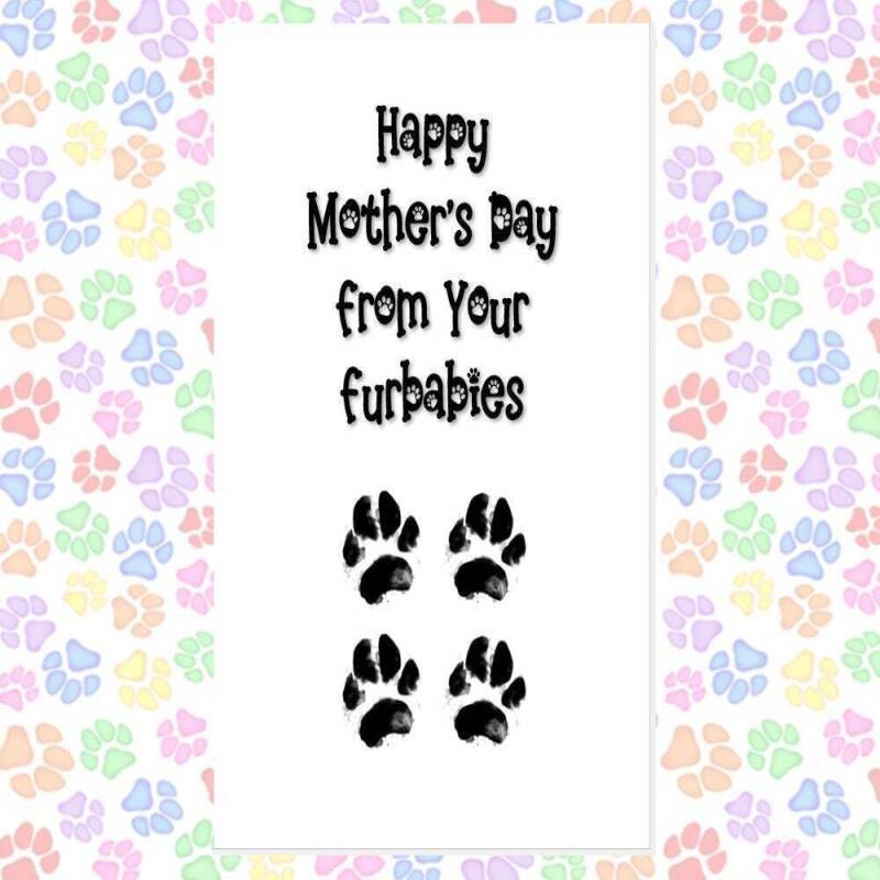 MOTHER'S DAY card from the dog, card from 2 dogs, funny mother's day card, card from dogs, happy mother's day from your furbaby, furbabies - 1
