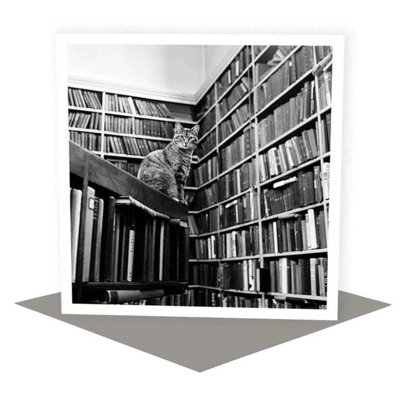 Library cat - vintage black and white themed card featuring a cat surrounded by books - 15cm square and blank inside - made in the UK