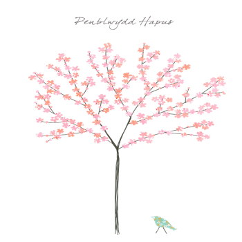 Penblwydd hapus tree in blossom