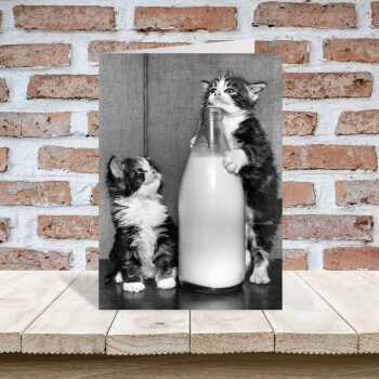 Milk thieves, vintage black & white photographic card featuring tabby cats drinking milk - 12.6 x 17.7cm and blank inside - made in the UK