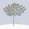 Bay Tree & Birds Greeting Card