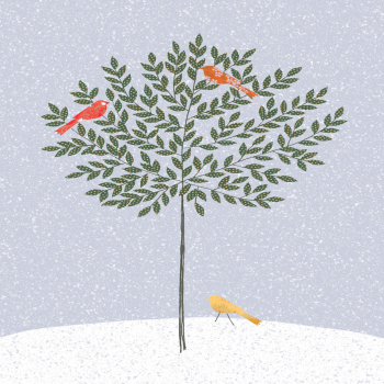 Bay Tree & Birds Greeting Card