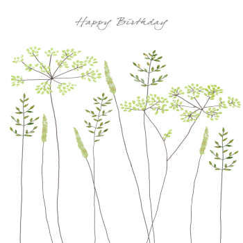 Fennel Birthday Greeting Card