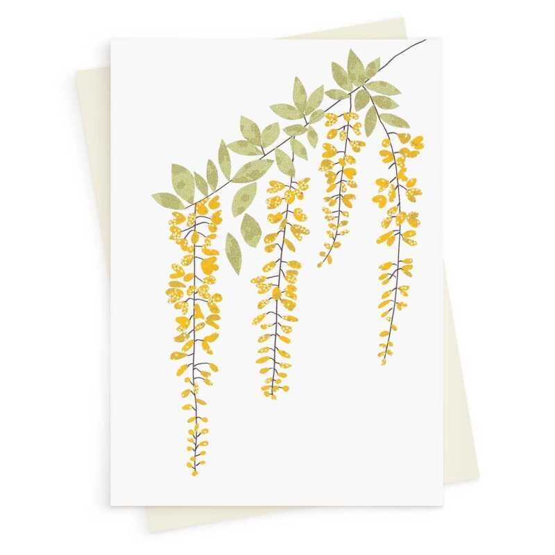 Laburnum blank greeting card -  designed by Eloise Hall - 15.7 x 11cm and blank inside, made in the UK