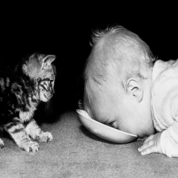 Holy Mackerel sharing some milk retro black and white photographic card featuring a vintage image of a kitten and a baby - 12.6 x 17.7cm and blank inside