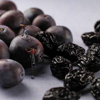 Holy Mackerel Plumped up, a Minimiam blank greetings card, 150mm square, printed in the UK on board from sustainable sources